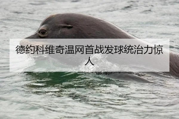 德约科维奇温网首战发球统治力惊人
