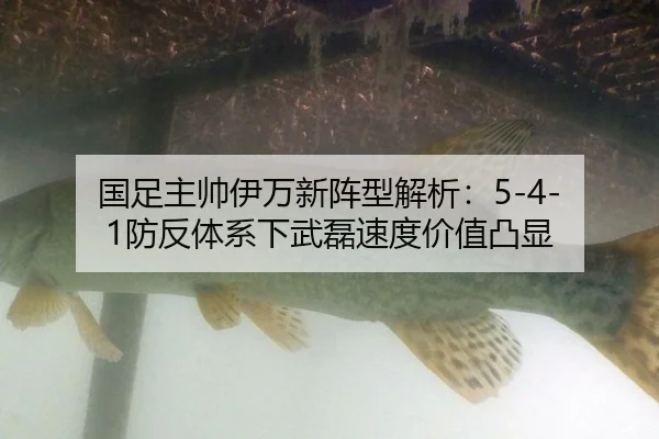 guo-zu-zhu-shuai-yi-wan-xin-zhen-xing-jie-xi-fang-fan-ti-xi-xia-wu-lei-su-du-jia-zhi-tu-xian-3-421.jpg